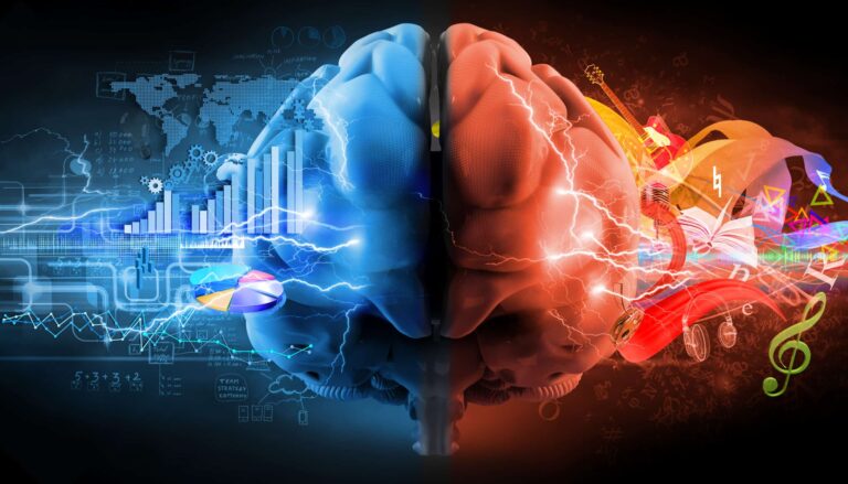 Split brain showing logic and creativity contrast